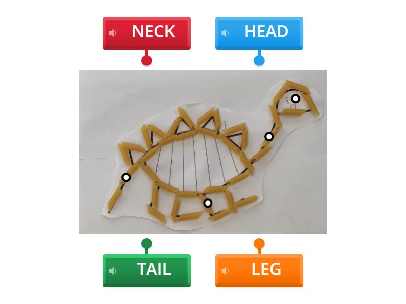 DINOSAUR SKELETON: BODY PARTS - Labelled diagram