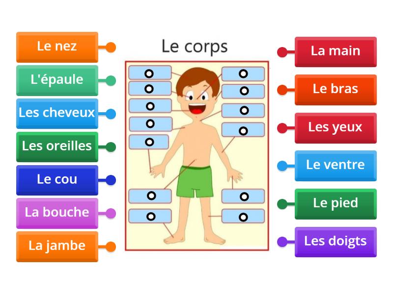 Les parties du corps Labelled diagram