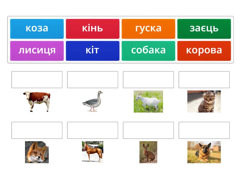 1 клас Тварини