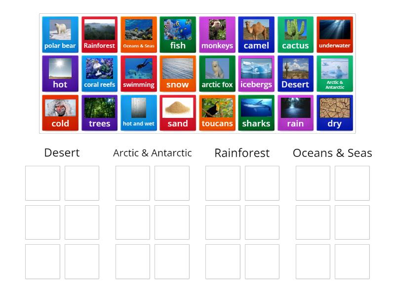 KS3 Ecosystem Examples - Group sort