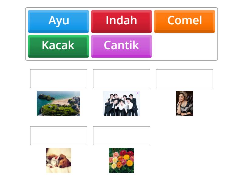 Kata Adjektif Pancaindera Lihat Match Up