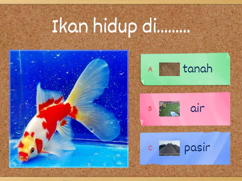 Mengenal Benda-Benda Alam - Quiz