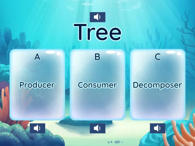 Food chain - Quiz