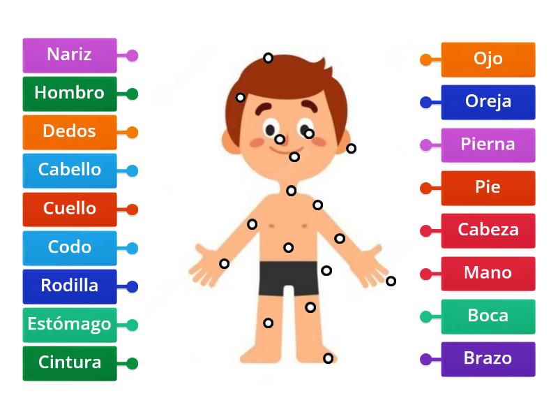 Atividade Espanhol O Corpo Humano Diagrama Con Etiquetas