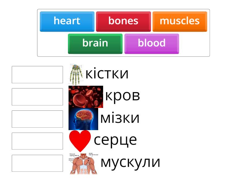 GO GETTER 3 UNIT 5 visual data 7