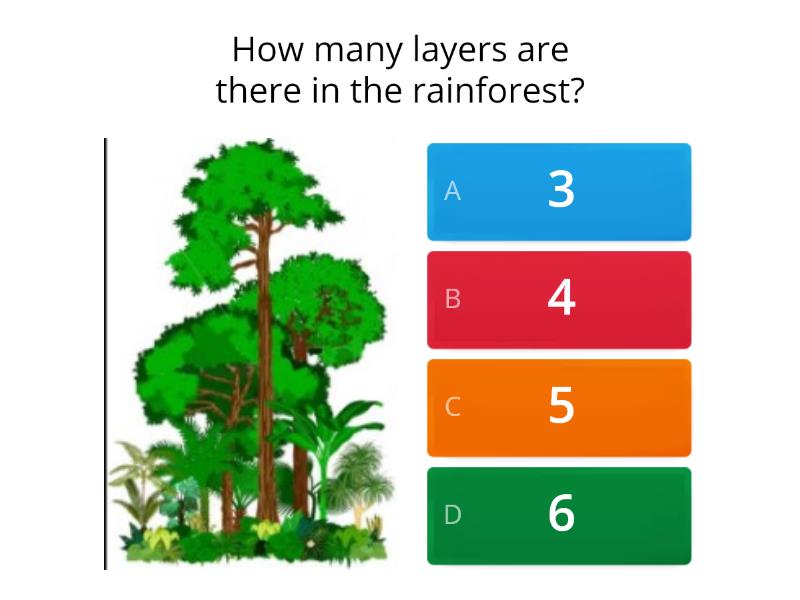 amazon-rainforest-quick-quiz