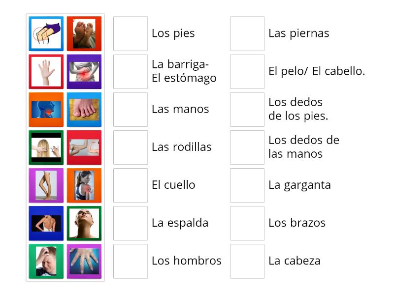 Las Partes Del Cuerpo Match Up