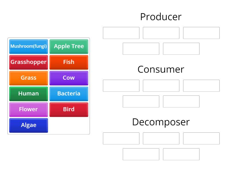 producer science definition