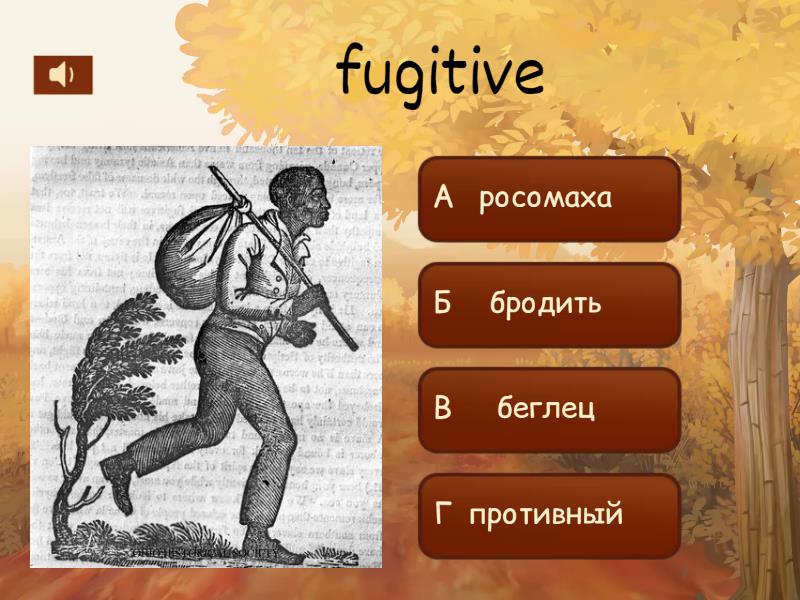 Tasmanian Devil vs Wolverine 2 - Quiz