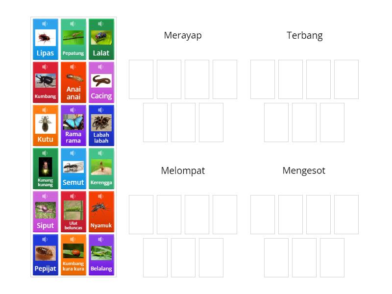Cara Serangga Bergerak - Group sort
