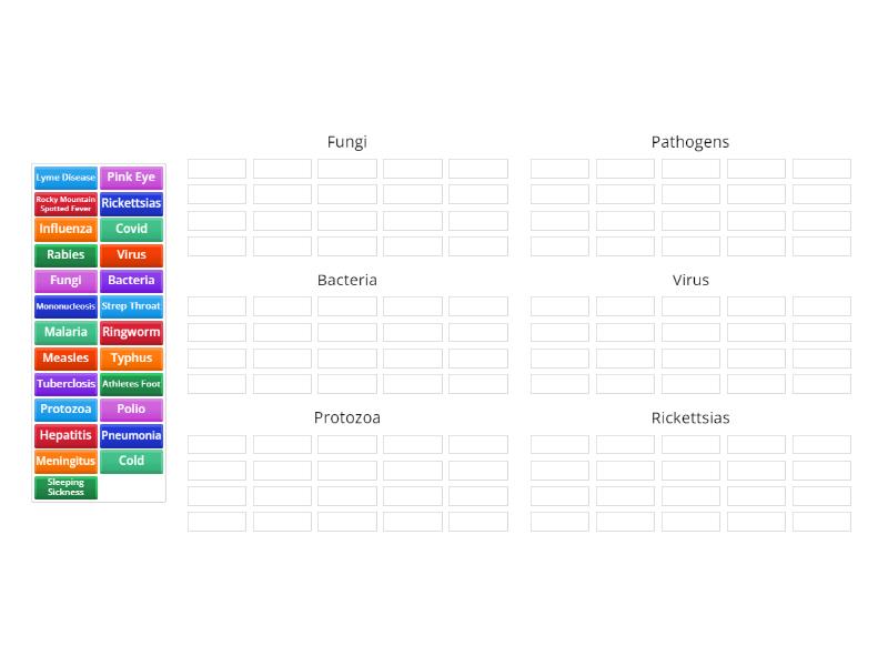 Typyes of Diseases - Group sort