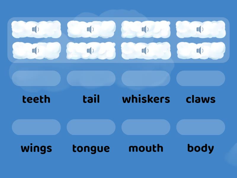 Bugs team 3 Unit 2 Lesson 1 audio - Match up