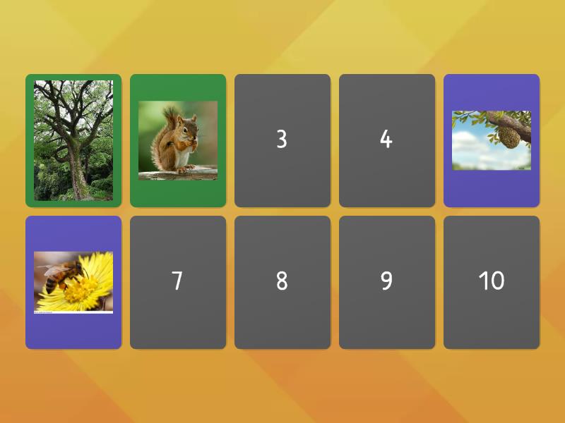 Animal habitats Memory game - Matching pairs