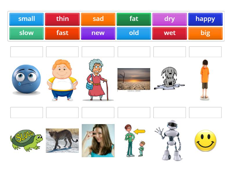 Adjectives - Match up