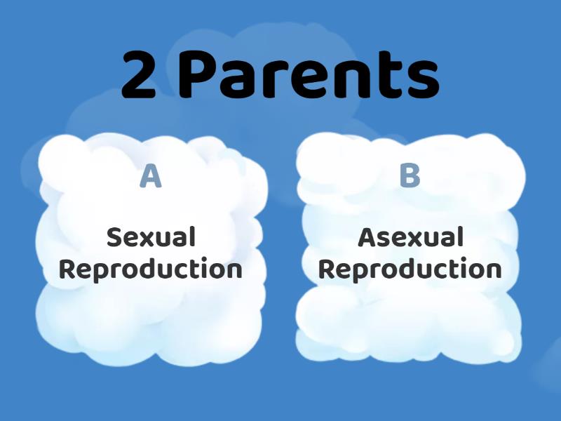 Asexual Vs Sexual Reproduction - Quiz