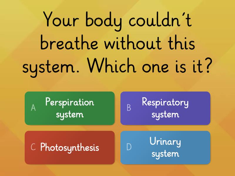 Respiratory System - Quiz