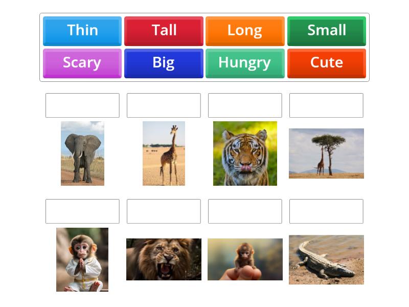 Vocabulary Unit 3 - Match up