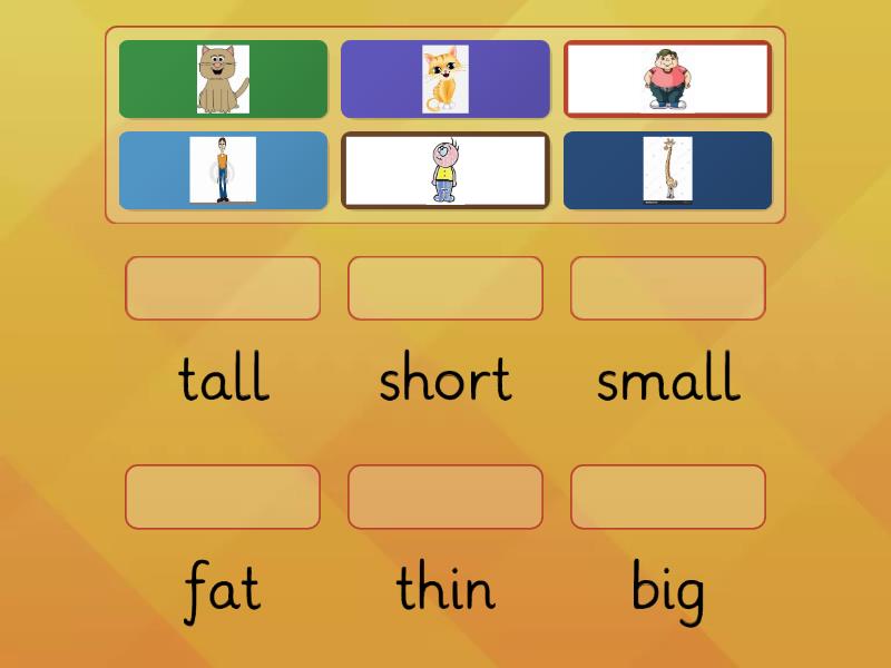 Tall short fat thin. Tall short adjectives. Short и t all иthick и t Hin и fat транскрипции. Tall, short, fat and thin. Different Trees Tall short fat thin.