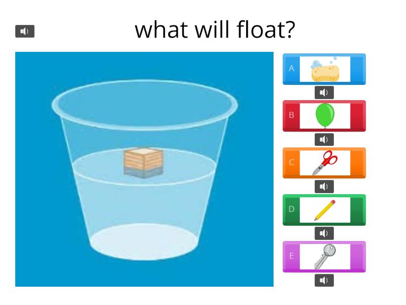 Float and sink Quiz
