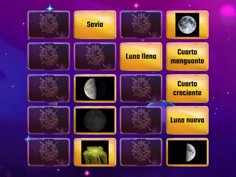 Fases De La Luna Parejas 7829