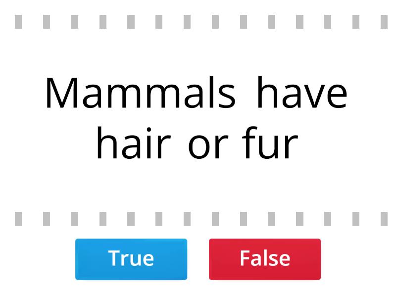 vertebrates characteristics - True or false