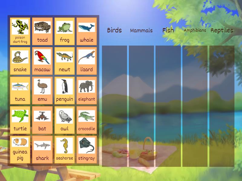 OIC1 Science - Vertebrate sorting - Review - Group sort