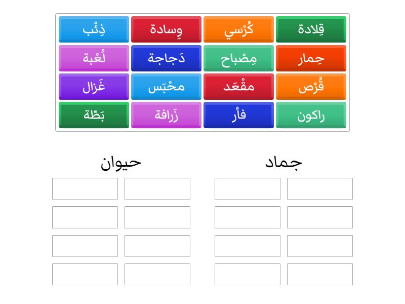 الاسم(حيوان-جماد) - Group sort
