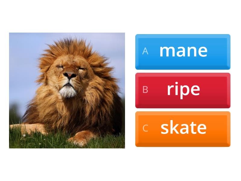 Oxford Phonics 3 - Quiz