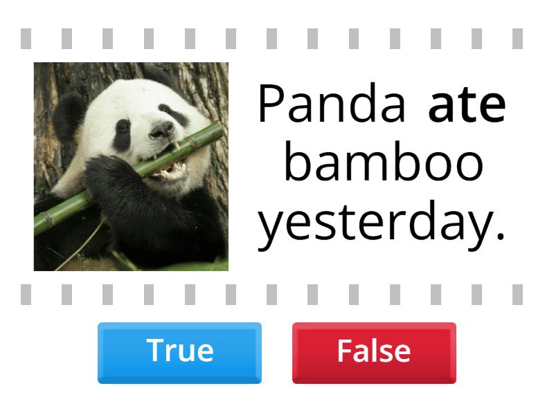 past simple - True or false