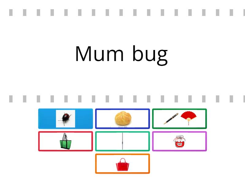 Mum bug's bag - Find the match