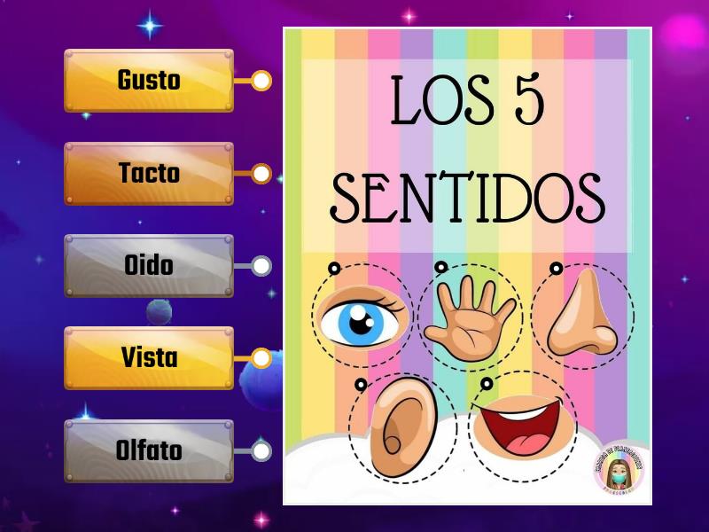 Los 5 sentidos - Labelled diagram