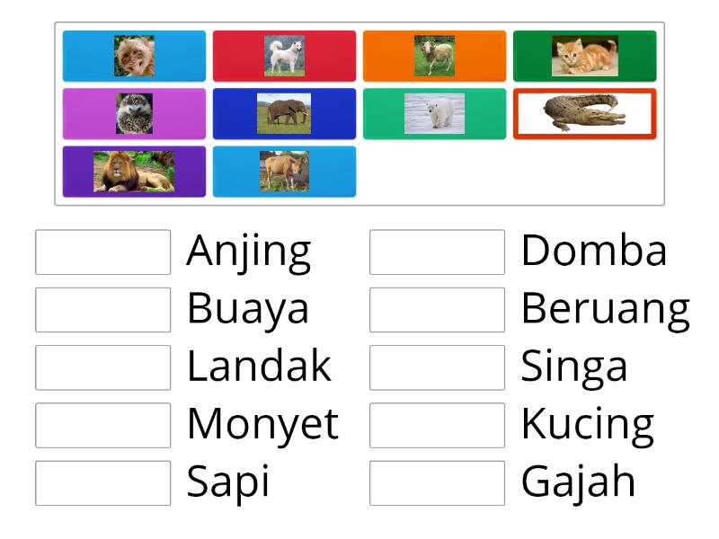 Mengenal Binatang - Match up