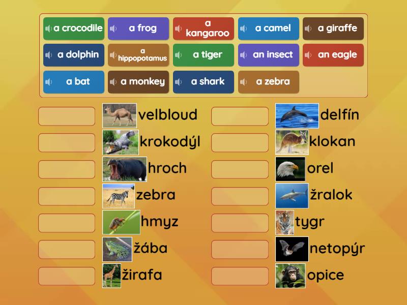 Project 2, Unit 2C Wild animals - Match up