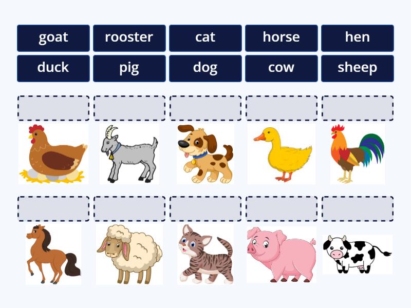 UNIT 4 FARM ANIMALS - Match up