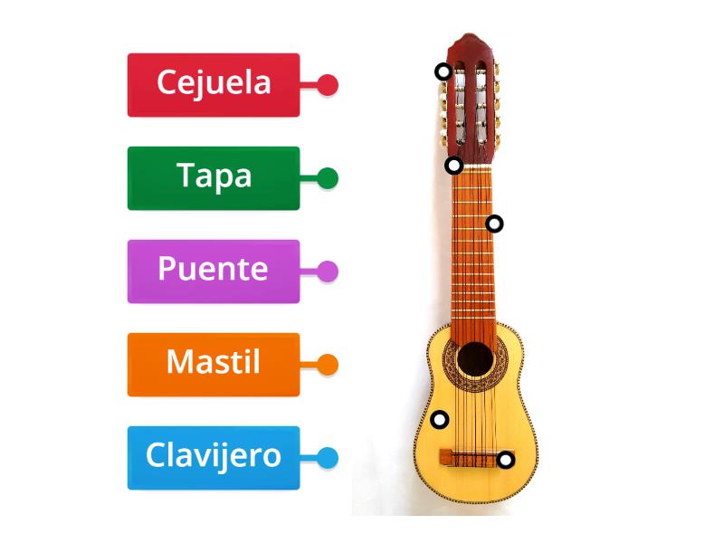 Partes del Charango - Diagrama con etiquetas