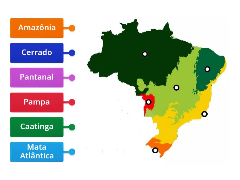 Biomas Brasileiros Diagrama Con Etiquetas