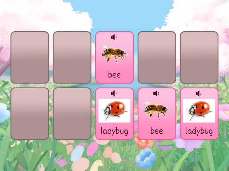 Insects - Matching pairs
