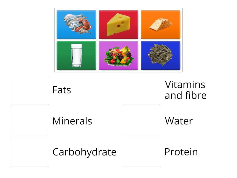 unit-3-classes-of-food-match-up
