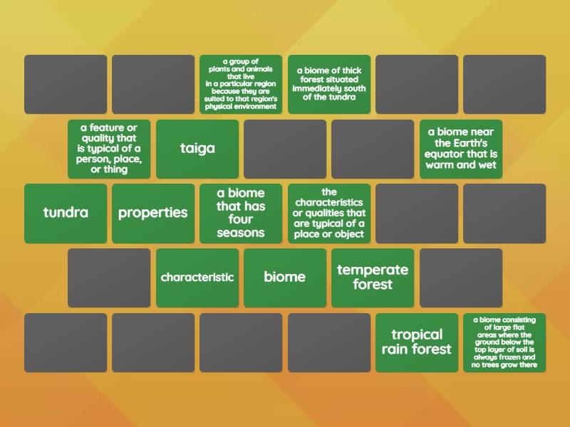 Lesson 15 Vocabulary: Land Biomes - Matching Pairs