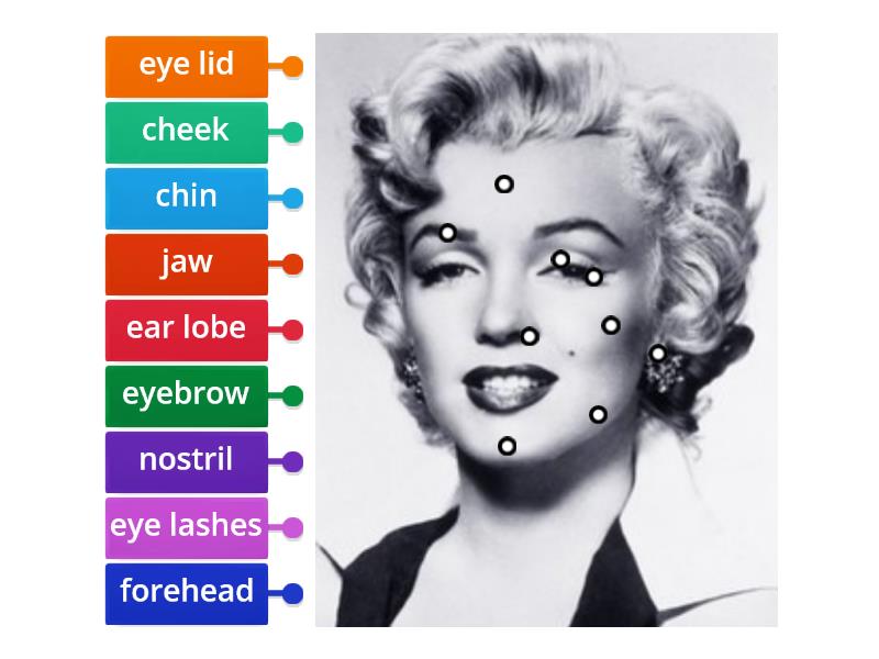 Parts of the Face - Labelled diagram