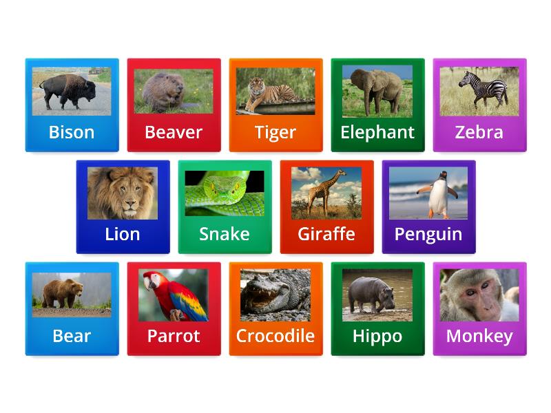 Wild animals / flip cards - Flip tiles