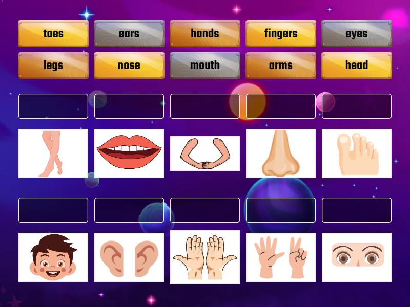 Topic: Body parts - Match up