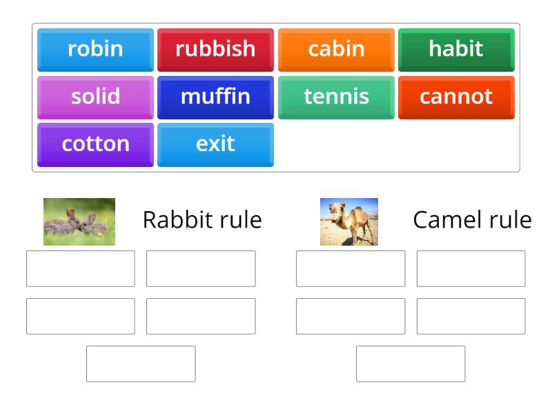 Ellie word sort; rabbit and camel rules - Group sort