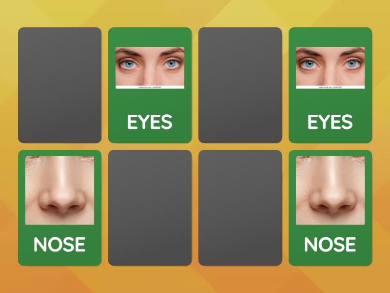 3 parts of the face - Matching pairs