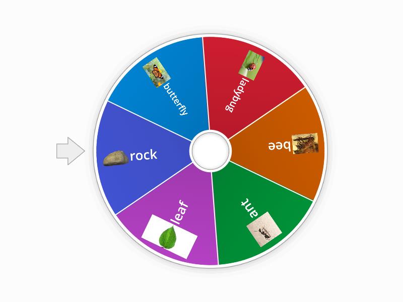 TJ96 insects - Spin the wheel