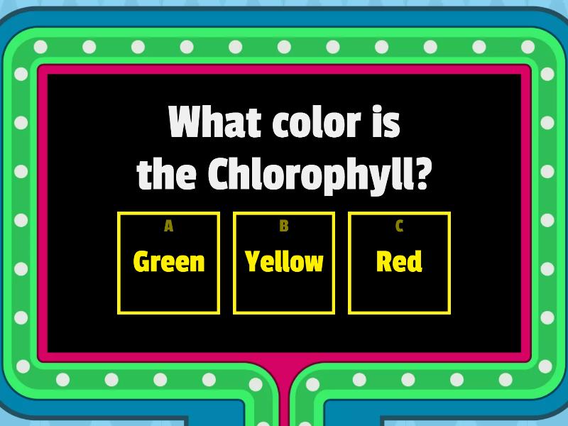 photosynthesis-concurso-de-preguntas