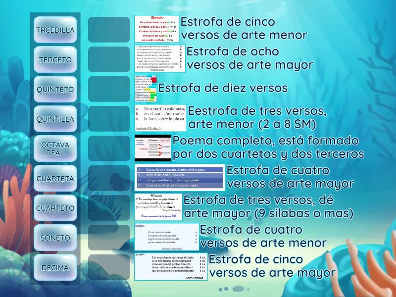 clasificacion de las estrofas segun el numero de versos - Match up