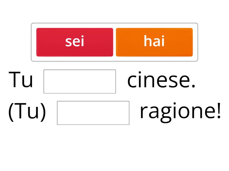 essere o avere? Completa la frase