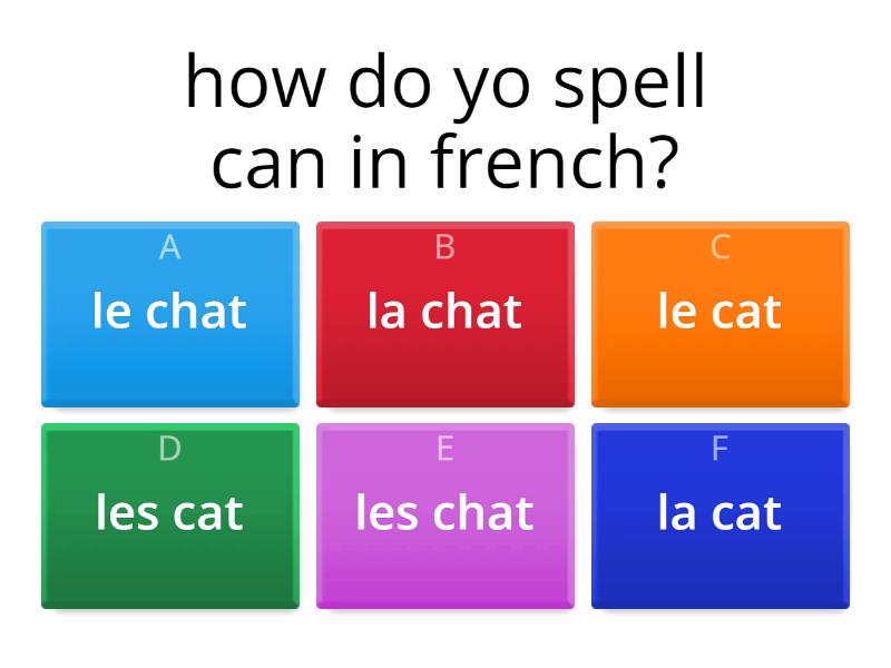 french-test-quiz