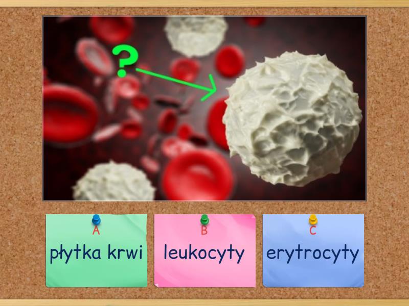 Sprawdzian Z Biologii Budowa I Znaczenie Krwi Budowa krwi - Test